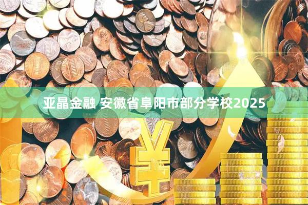 亚晶金融 安徽省阜阳市部分学校2025