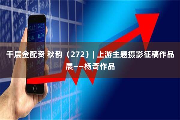 千层金配资 秋韵（272）| 上游主题摄影征稿作品展——杨奇作品